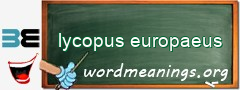 WordMeaning blackboard for lycopus europaeus
